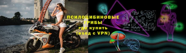 ПСИЛОЦИБИНОВЫЕ ГРИБЫ Беломорск