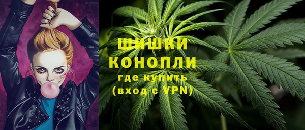 ПСИЛОЦИБИНОВЫЕ ГРИБЫ Беломорск