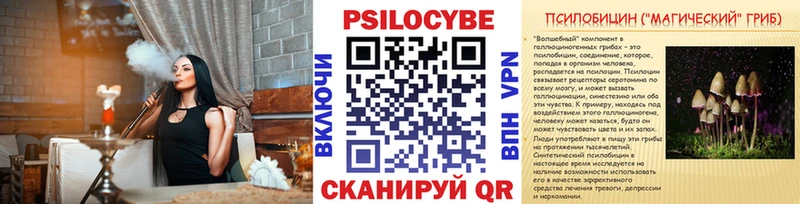 Псилоцибиновые грибы Psilocybe  Купить  Дмитров 